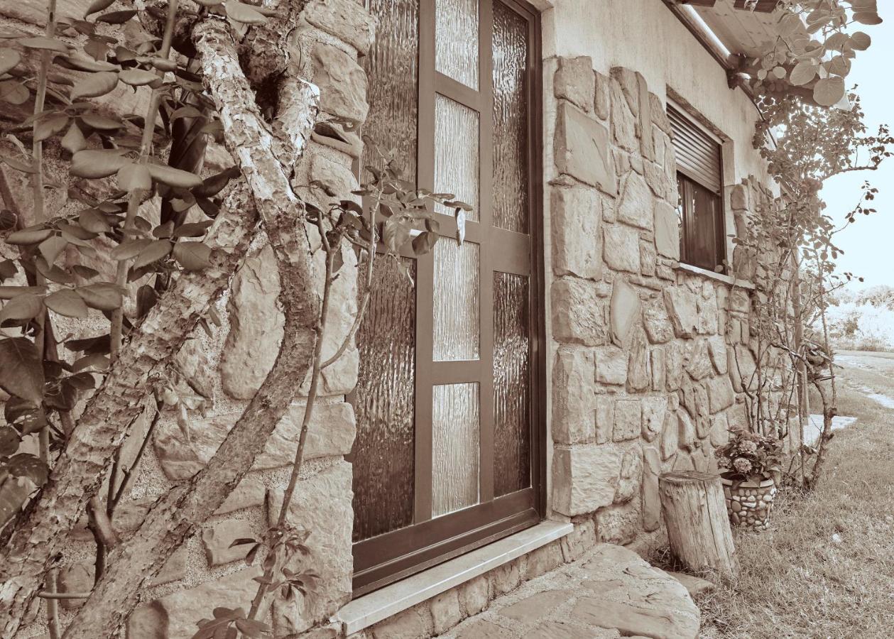 Apartment Baredinka Izola