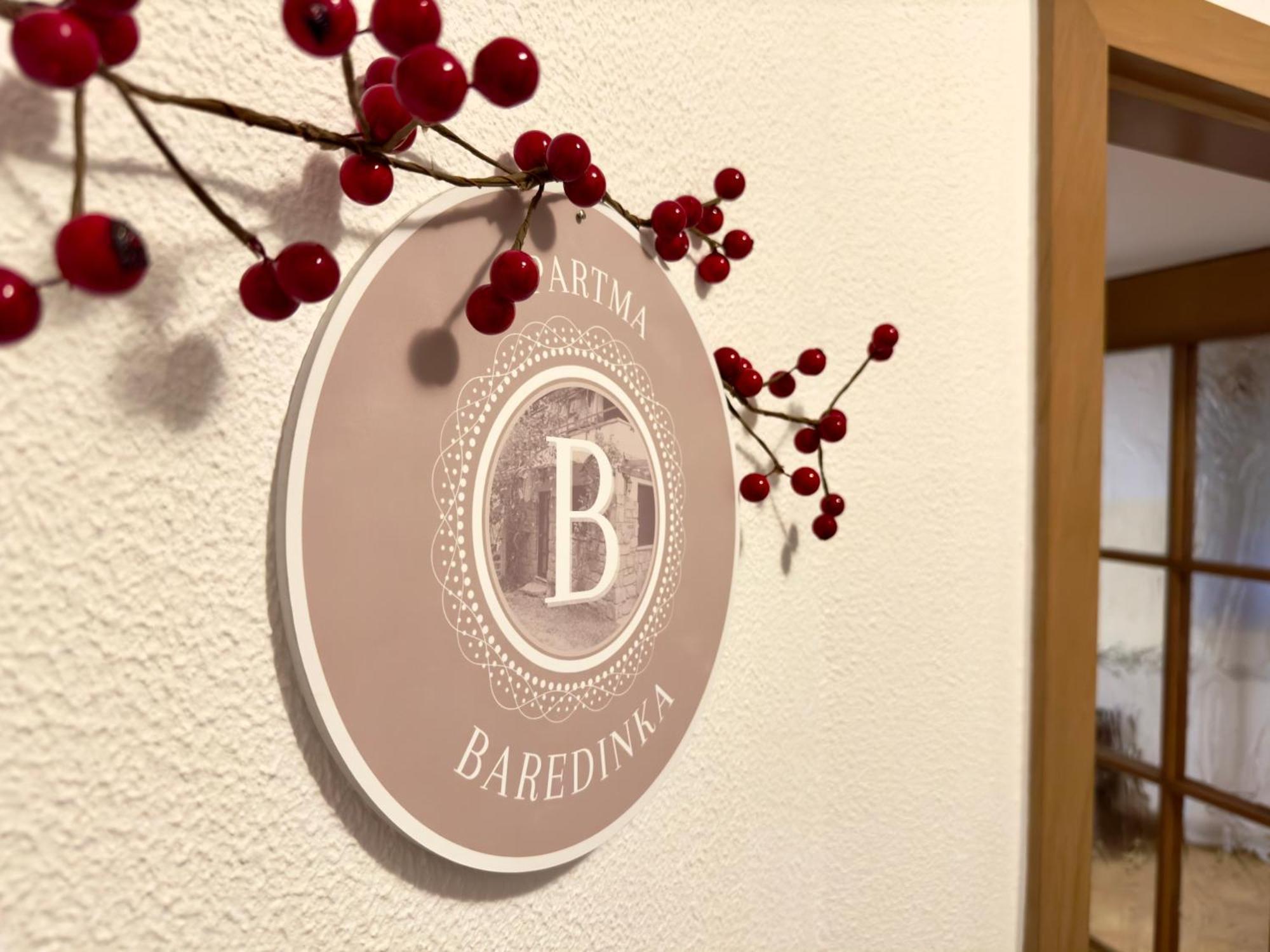 Baredinka Apartment